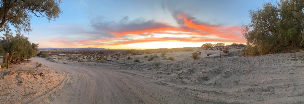 Rocky Gets A Haircut and Other&nbsp;Happenings